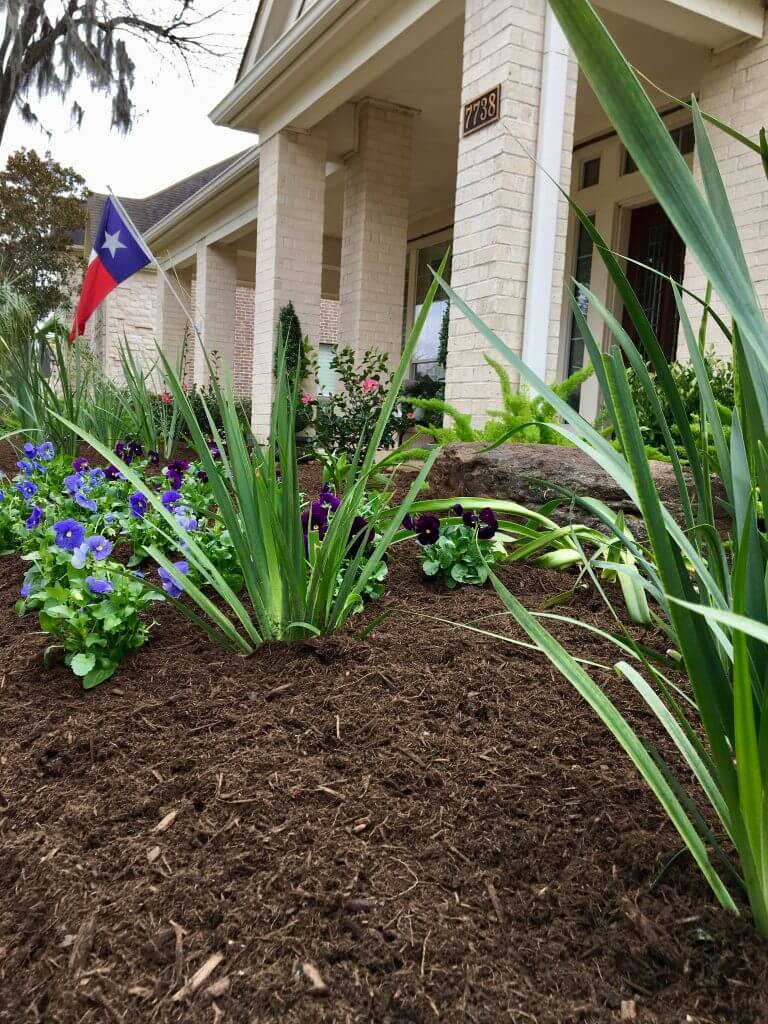 landscaping bed
