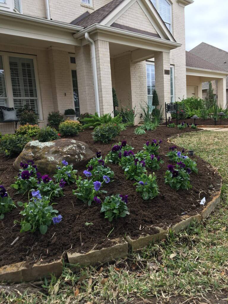Front Yard Landscaping