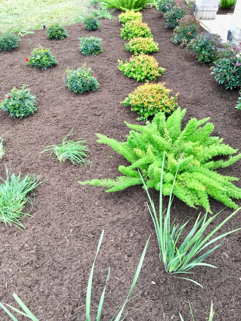 front yard landscaping bed sugar land