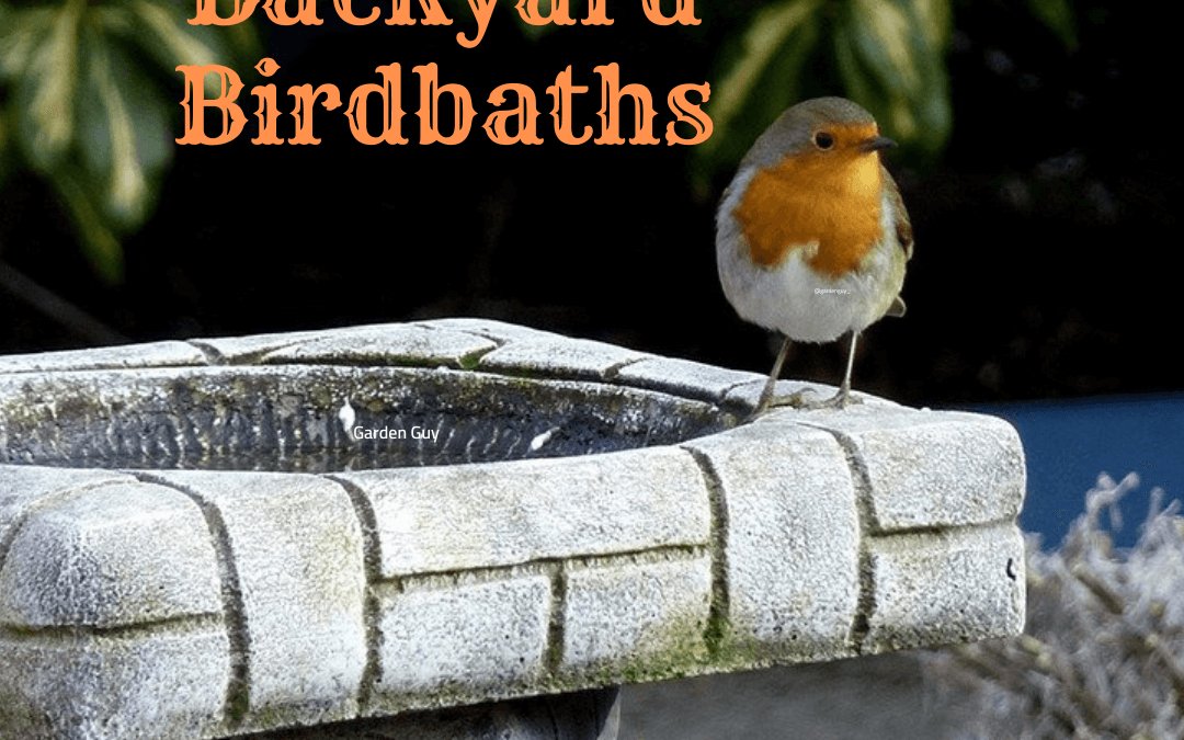 Birdbaths for your Backyard Garden