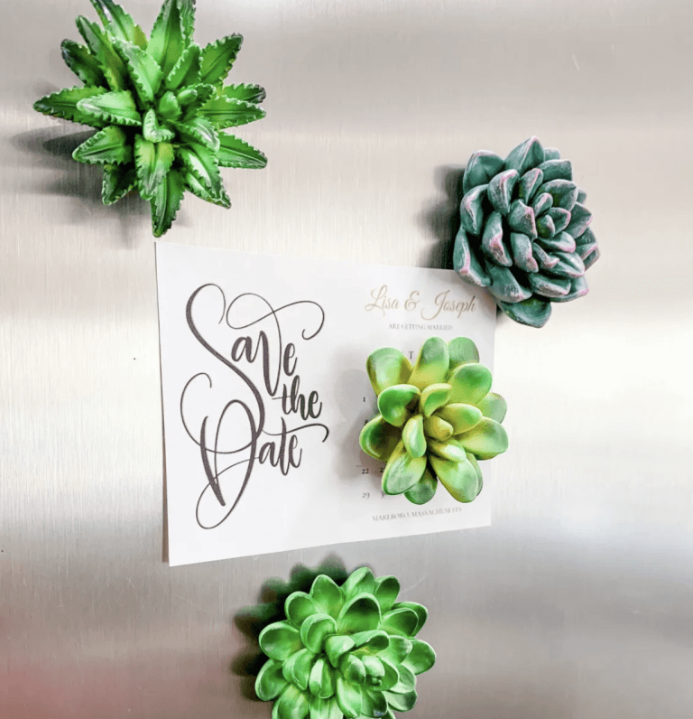 ane has this Set of 4 Mini Succulent Resin Magnets for just $14.99 shipped right now! These are SO adorable and would make such fun gifts! They get great reviews, too.
