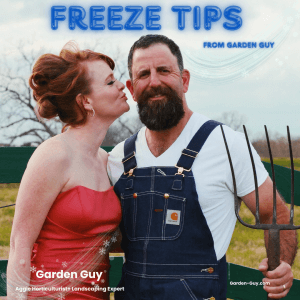 sugar land texas landscaping landscaping houston  houston landscaper heights landscaper 