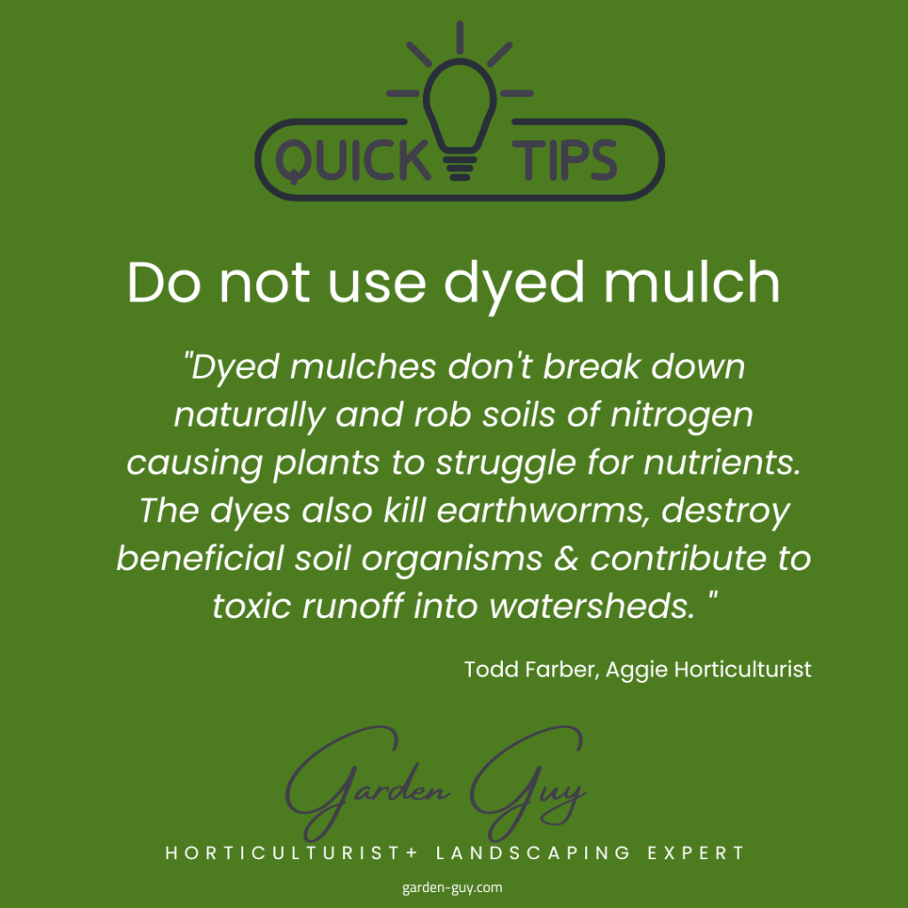 "Dyed mulches don't break down naturally and rob soils of nitrogen causing plants to struggle for nutrients. The dyes also kill earthworms, destroy beneficial soil organisms & contribute to toxic runoff into watersheds.  Garden Guy Todd Farber 